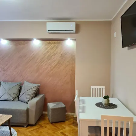 Drinic Apartment *